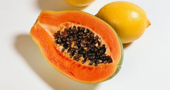 Papaya